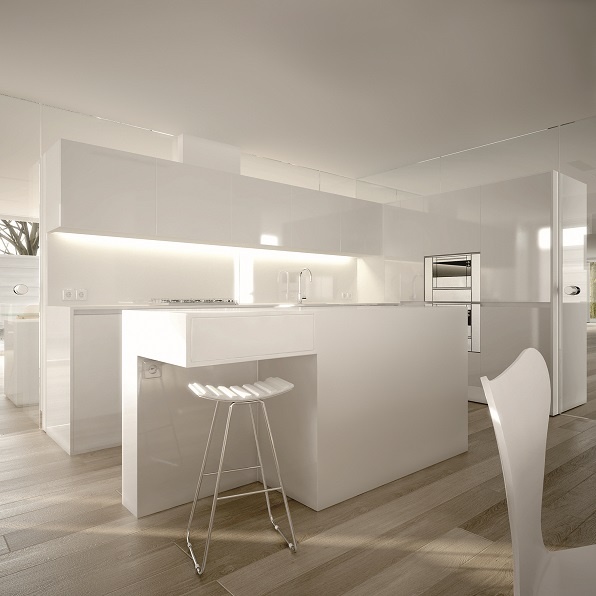 White minimalist modern kitchen